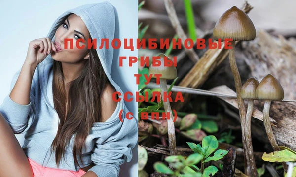 PSILOCYBIN Козельск