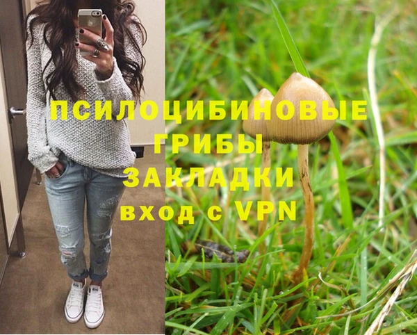мескалин Козловка